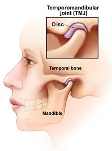 temporomandiublar joint (TMJ)