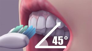 Brushing at a 45-degree angle